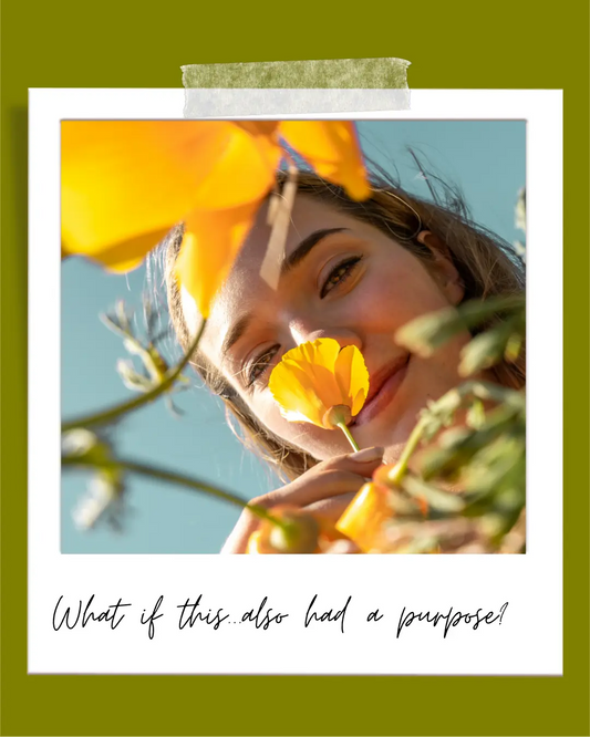 What if this… also had a purpose?